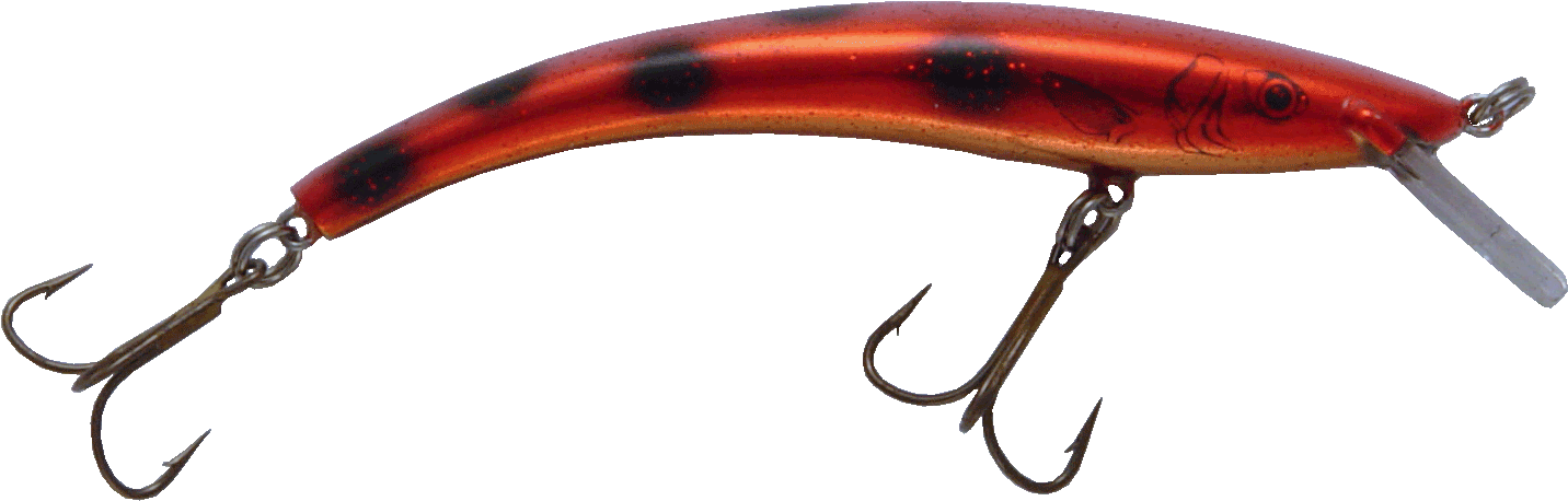 Reef Runner