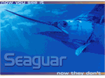 Clearance Seaguar