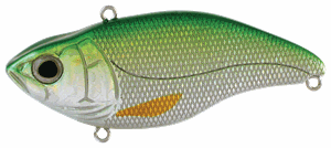 SPRO Aruku Shad
