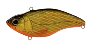 SPRO Aruku Shad