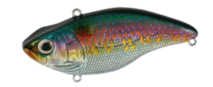 SPRO Aruku Shad