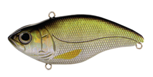 SPRO Aruku Shad